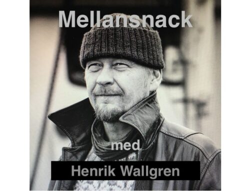 Mellansnack med Henrik Wallgren